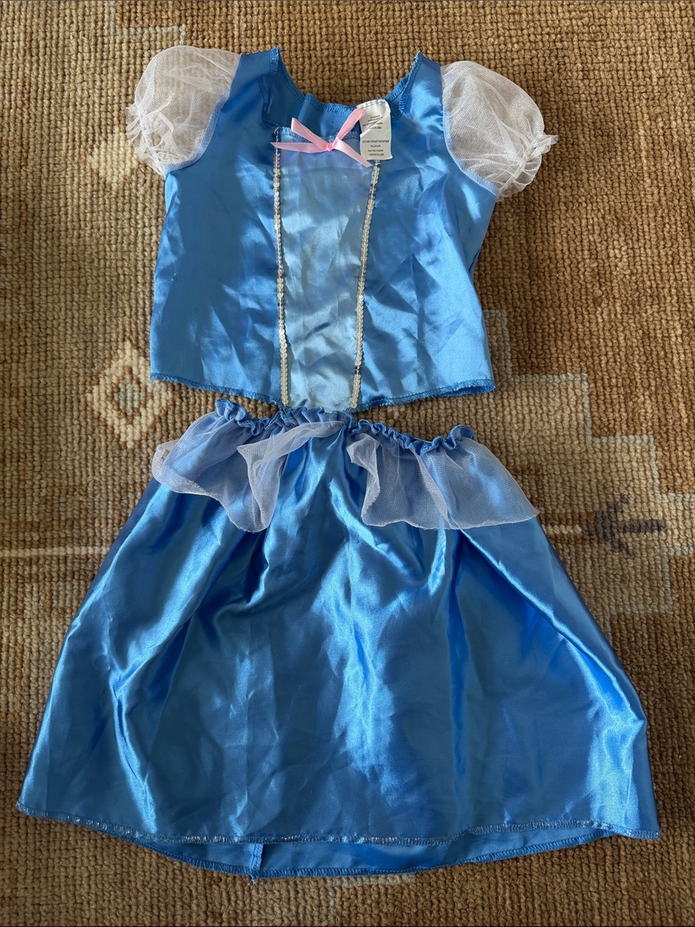 Cinderella Two Piece Costume